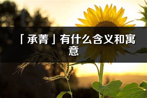 菁意思名字|菁的解释